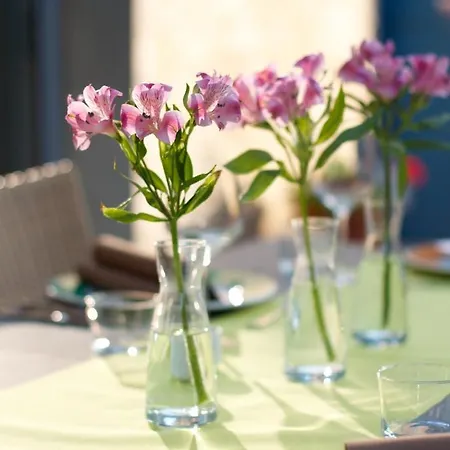 La Fauvelle Hotel Thuir